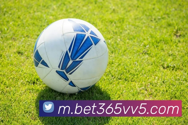 bet365中国官网平台生态图